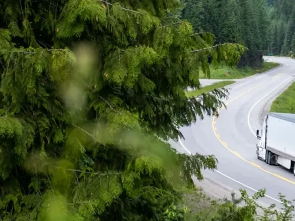 Rejeição MDFe: veja o que significa e como resolver